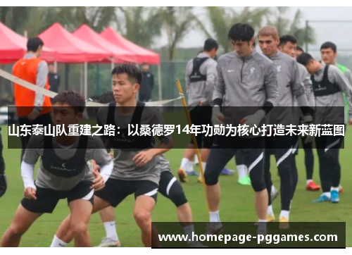 山东泰山队重建之路：以桑德罗14年功勋为核心打造未来新蓝图