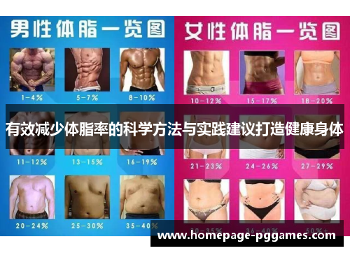 有效减少体脂率的科学方法与实践建议打造健康身体
