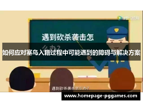 如何应对塞鸟入籍过程中可能遇到的障碍与解决方案