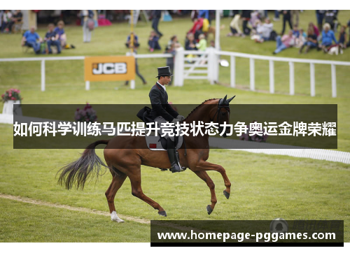 如何科学训练马匹提升竞技状态力争奥运金牌荣耀