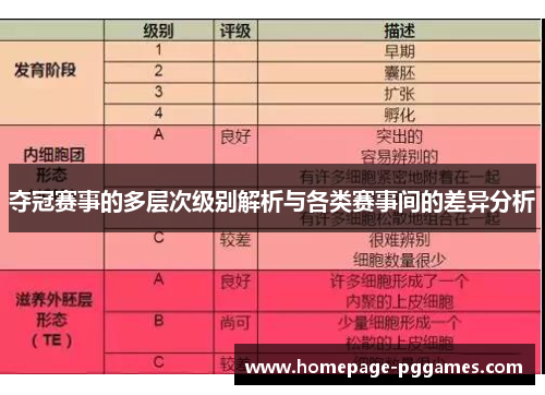 夺冠赛事的多层次级别解析与各类赛事间的差异分析
