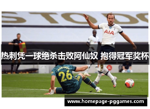 热刺凭一球绝杀击败阿仙奴 抱得冠军奖杯