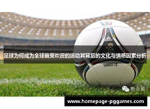 足球为何成为全球最受欢迎的运动其背后的文化与情感因素分析